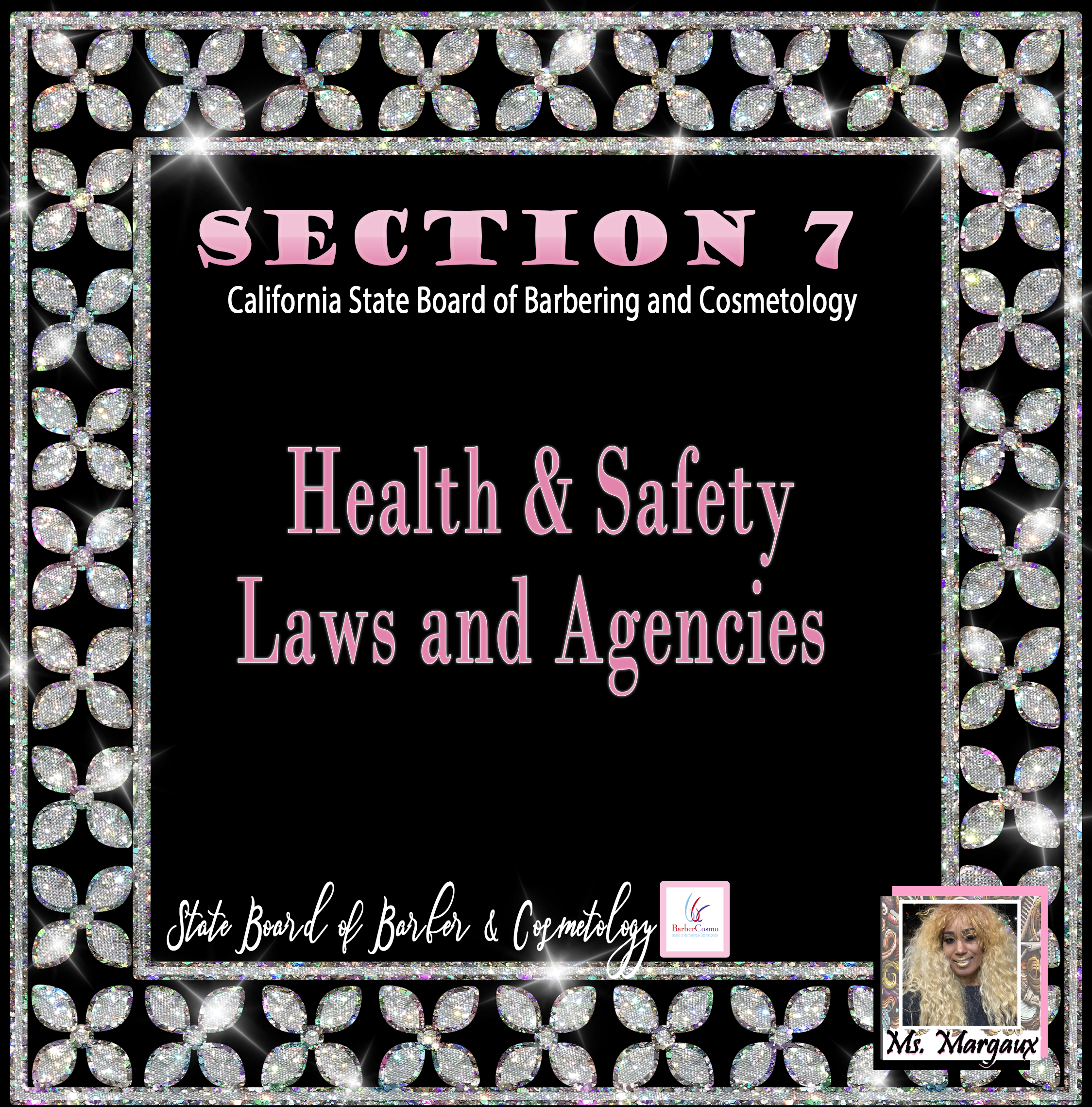 H and S Section 7